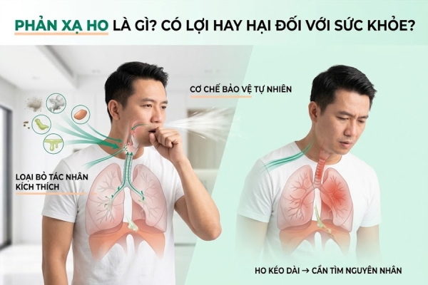 Phản xạ ho là gì Có lợi hay hại đối với sức khỏe