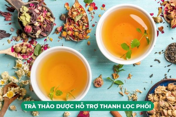 10 Cách Thanh Lọc Phổi Trong 3 Ngày Bằng Nguyên Liệu Tự Nhiên