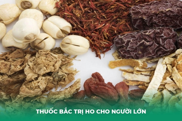 Top 5 Bài Thuốc Bắc Trị Ho Cho Người Lớn Hiệu Quả