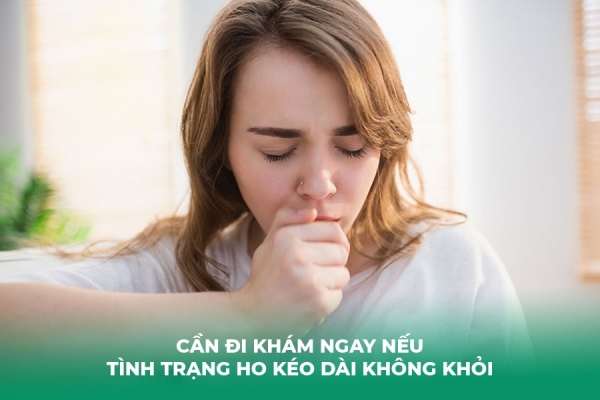 6 Bài Thuốc Đặc Trị Ho Lâu Ngày Không Khỏi Từ Dân Gian