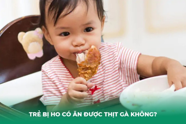 Trẻ Bị Ho Có Ăn Được Thịt Gà Không Giải Mã Quan Niệm Dân Gian
