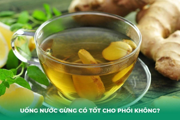 Uống Nước Gừng Tươi Có Tốt Cho Phổi Không Lợi Ích và Cách Dùng Đúng