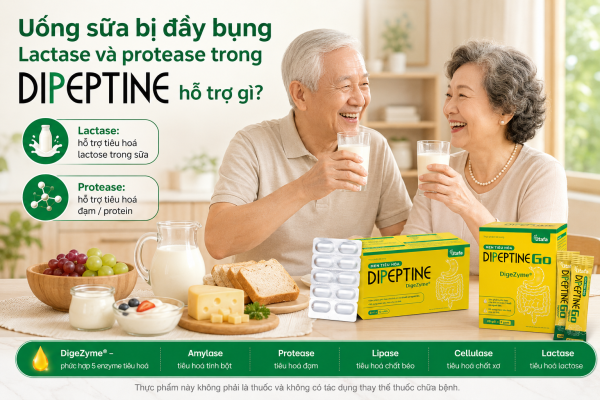 Bữa ăn nhiều đạm, uống sữa, dùng whey bị đầy bụng: Lactase và protease trong Dipeptine hỗ trợ gì